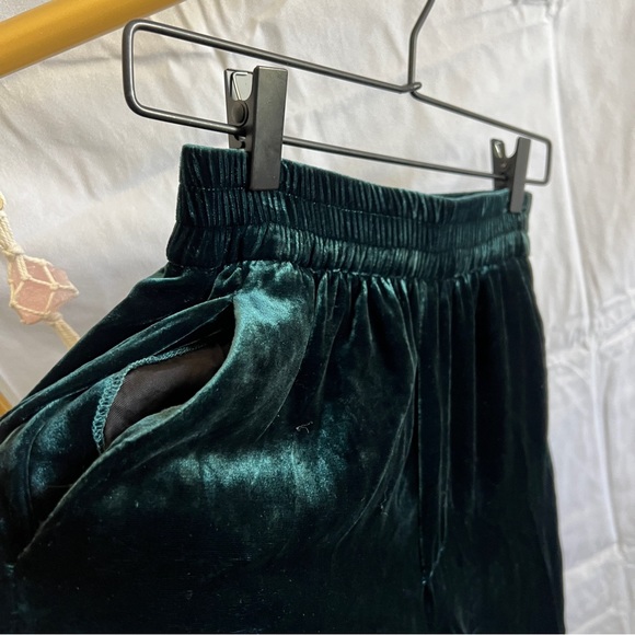 Zara Velvet Green Pant - Picture 6 of 6